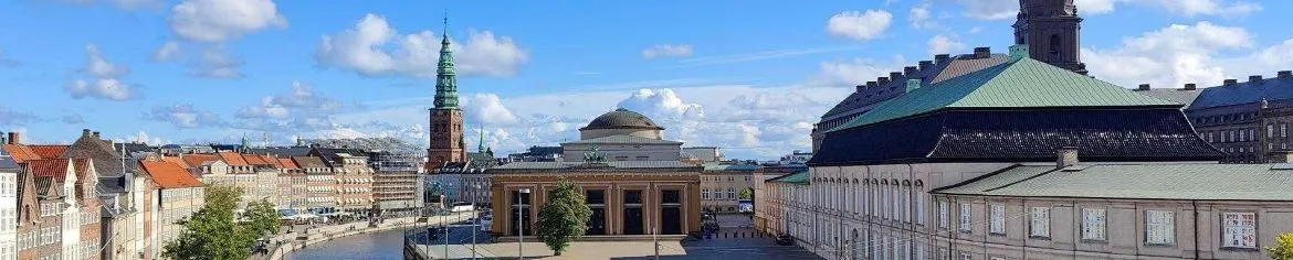 Udsigt over København